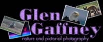 Glen Gaffney